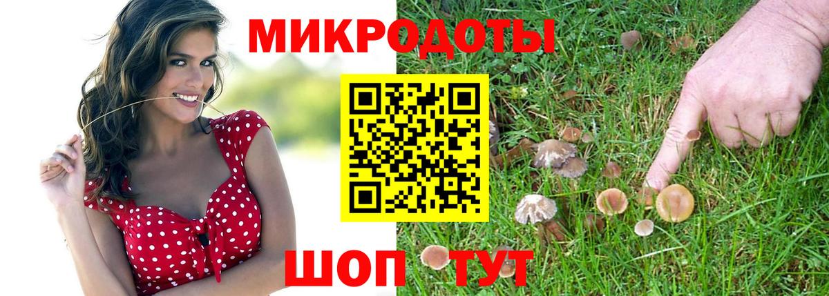 Галлюциногенные грибы Psilocybe Горячий Ключ