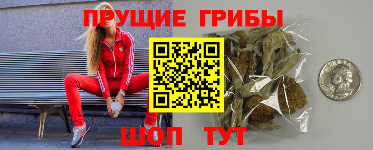 Галлюциногенные грибы Psilocybine cubensis  Вход с VPN  Горячий Ключ 